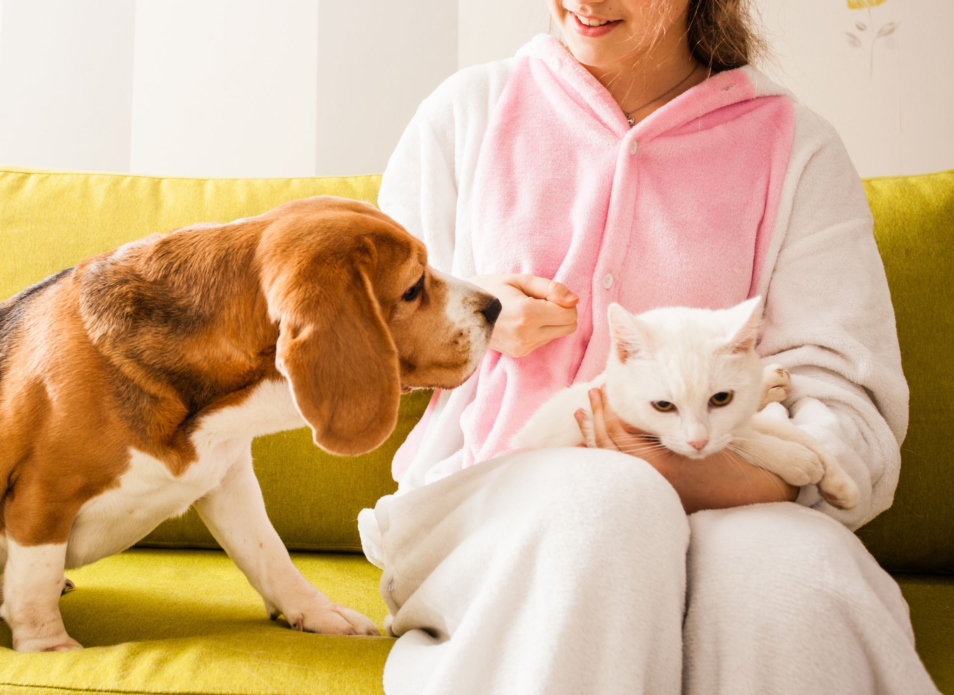 Person sitting on couch holding a cat